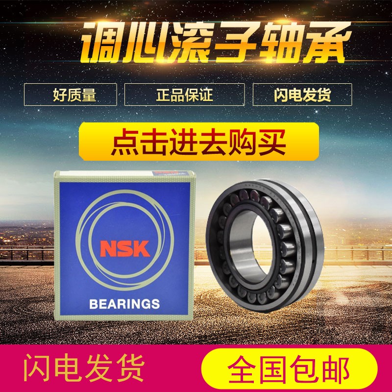 Imported NSK Aligning Roller Bearings 22205 22205 22206 22206 22208 22208 22209 CAME4 CDE4
