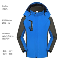 Королевский синий весна и осень тонкий стиль