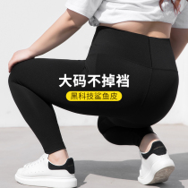 Dolotus Rays Big Code Shark Pants Autumn Winter Plus 200 catty High waist Fat MM to wear Barbie yoga outside the bottom female spring and autumn