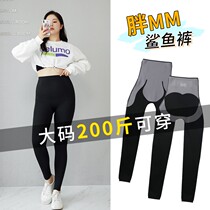 Big Code Pants 200 Catty Weight Mm Shark Pants Plus Suede Woman Outwear Spring Autumn Thin and yoga collection Barbie beat the bottom road