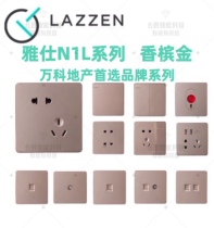 Nader Liangxin Yashi N1L series two or three sockets oblique five-hole sockets category six network plugs