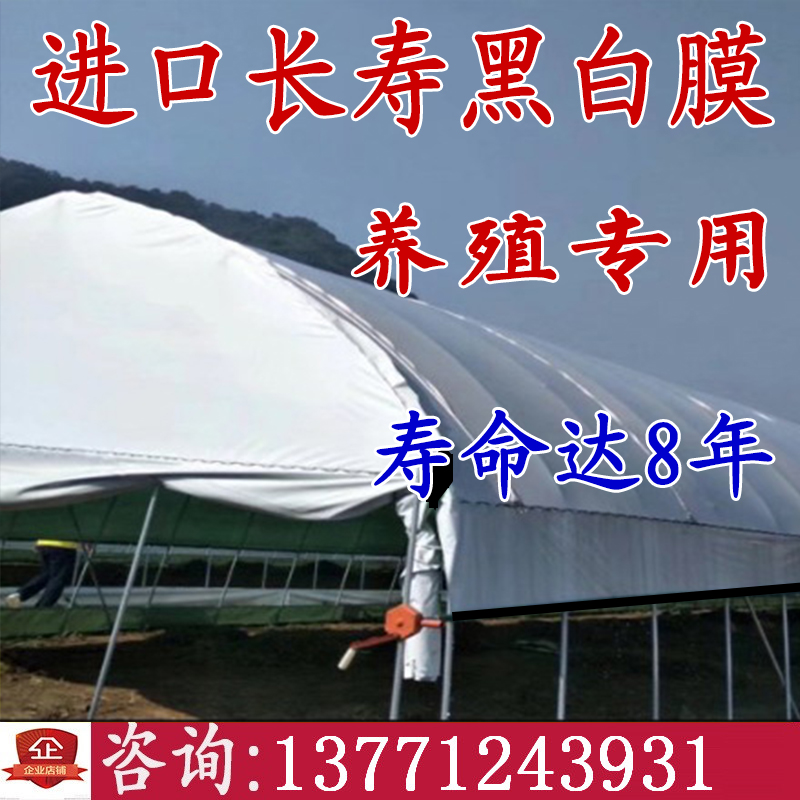 Imported greenhouse film greenhouse po film non-drip film PE breeding black and white film thickened agricultural plastic film transparent film film