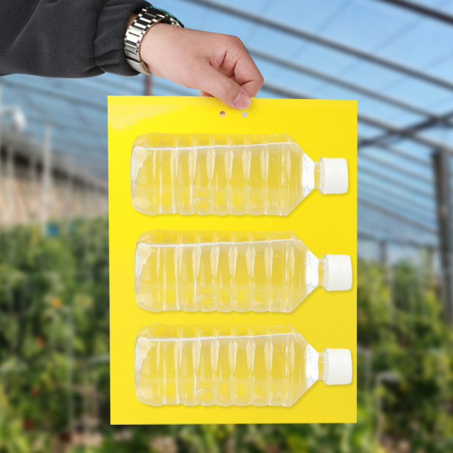 Sticky insect board greenhouse special yellow board double-sided small black fly trap insect trap board sticker agricultural home garden