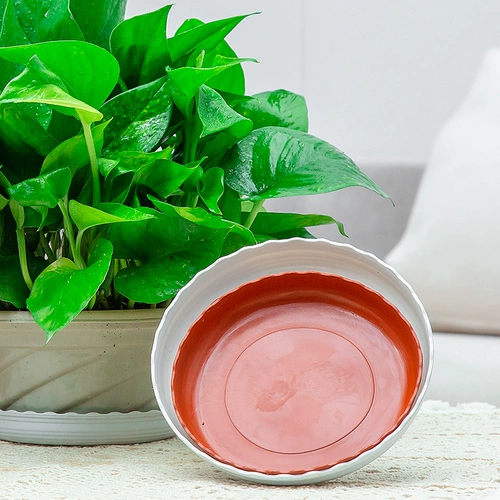 Цветочный горшок, пластиковые большие круглые прямоугольные шасси, толстое донышко, увеличенная толщина