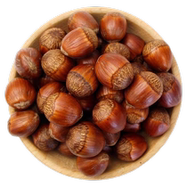 Northeast large fruit hazelnut jade pendant new goods original Northeast Liaoning specialty fried nuts wild dried fruit snacks