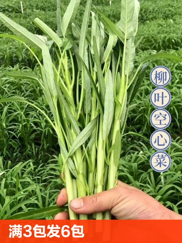 Семена водяного шпината с тремя вилками, семена зеленого четырехсезонного рапса, листья ивы, семена крупнолистных, овощи в горшках, стручковый перец, быстрорастущие тыквы.