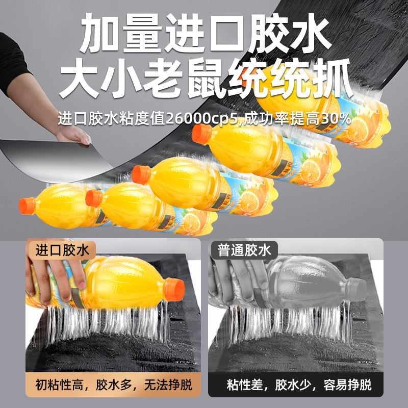 老鼠贴真的能干掉大老鼠？超强粘鼠板实测！这波不买亏大了