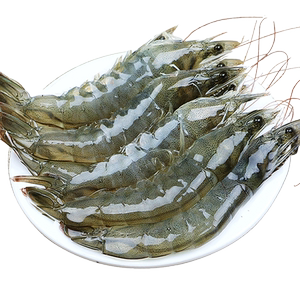 大虾鲜活超大基围虾特大青虾冷冻鲜对虾速冻海虾虾类海鲜水产青岛