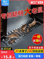 Мышеловка 老鼠贴强力粘鼠板粘大老鼠超强家用捕鼠神器抓捉一窝端正品灭鼠