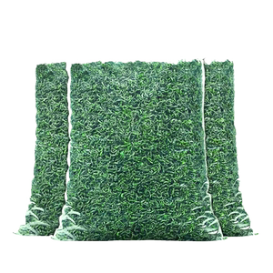 2024新茶绿茶茶叶散装春茶高山有嫩芽毛尖茶一级袋装浓香型云雾