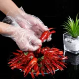 100 однократные фирменные перчатки 100