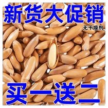 Hand-peeled Brazilian pine nuts new arrival Brazilian pine nuts nutritious and healthy snacks long-grain bags net weight nuts and pine nuts wholesale