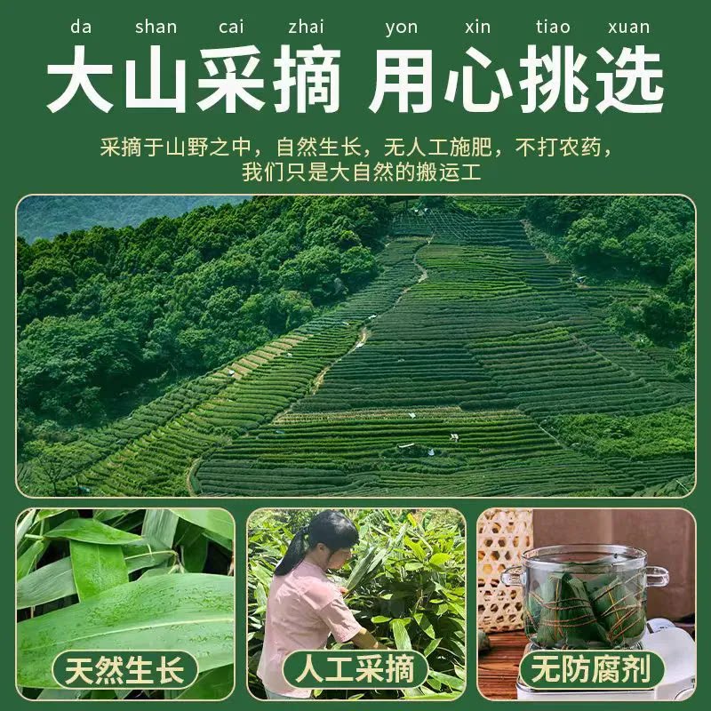 端午节粽子叶大揭秘！楠竹笋壳/豹纹叶/碱水粽叶怎么选？🌿-粽叶-淘宝百科网