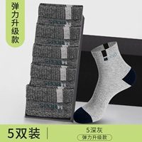 【Эластичное обновление】 5 Double Catend-5 Deep Grey