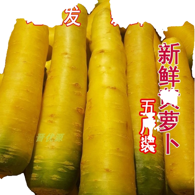 新鲜优质黄胡萝卜包邮手抓饭必备