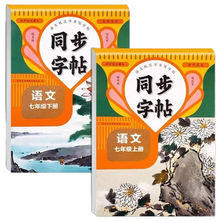 七八年级语文英语同步字帖上下册人教版练字帖初二8上专用正版钢笔练字初中课课练字贴中学生每日一练七书法写字作文字词