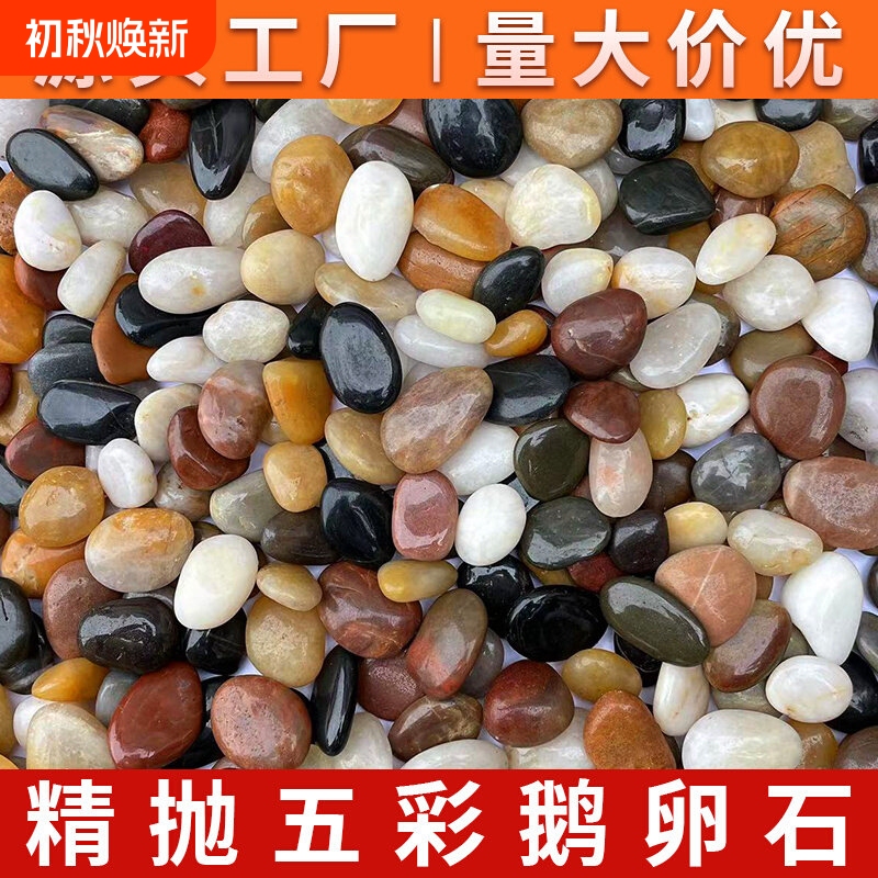 25kg Pieces of Natural Pebbles for Courtyard Paving, Fish Tank, Garden Landscaping, and Natural Rain Flower Stones in Various Sizes 25kg Pieces of Natural Pebbles for Courtyard Paving, Fish Tank, Garden Landscaping, and Natural Rain Flower Stones in Various Sizes