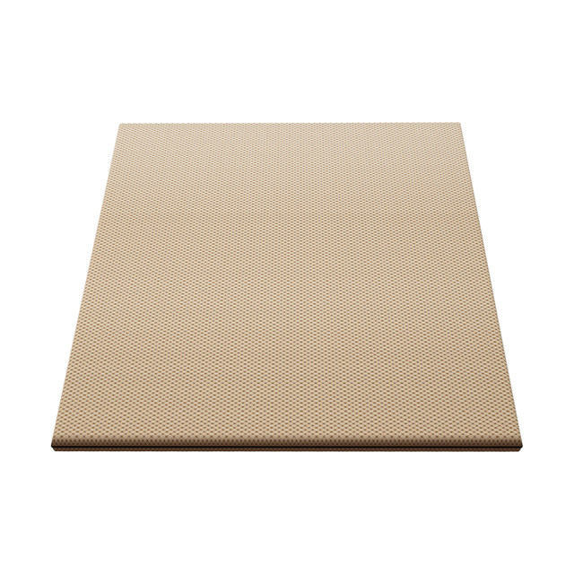 ຜ້າປູທີ່ນອນແຂງ mattress soft mattress hardening artifact thin coconut palm waist soft bed hardening hard board too soft to hard latex all brown