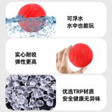 Ящики для собак с шлифовальными зубами щенка