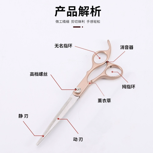 Ножницы для питомца ножницы для собак сдвиг набор для кошачьего стеклоочисти