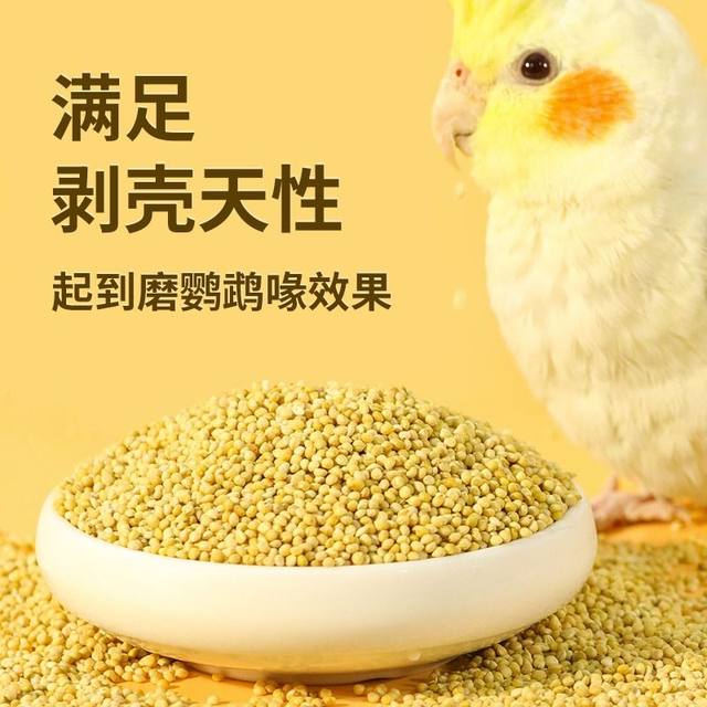 Parrot feed bird food new yellow millet shelled millet tiger skin black phoenix pearl bird ອາຫານພິເສດສໍາລັບຊາວກະສິກອນຂະຫນາດນ້ອຍ