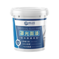Topcoat indoor and outdoor wall waterproof paint water-based transparent varnish varnish wall painting protective paint latex paint topcoat