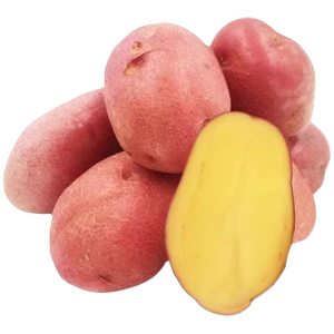 2024年云南新鲜红皮黄心土豆农家种马铃薯洋芋老品种9斤带箱正宗