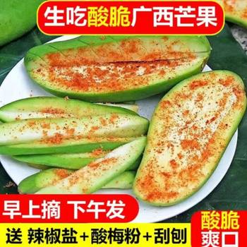 Freshly picked fresh sour crispy raw mangoes for pregnant women in season guangxi green mangoes sour wild pickled mangos