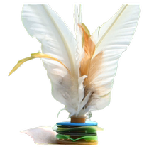 Shuttlecock sports special shuttlecock kicking shuttlecock key resistant to kicking adult competition children primary school students big white tendon jianzi