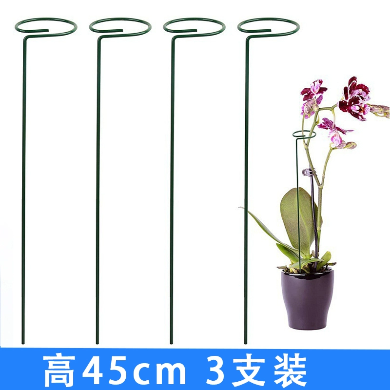 Cua Móng Vuốt Phong Lan Chân Đế Làm Vườn Hỗ Trợ Khung Bảo Vệ Ban Công Cực 2 Lớp Ngoài Trời Pothos Trong Nhà Lá Phong Lan Hoa Cố Định kệ sắt ban công 