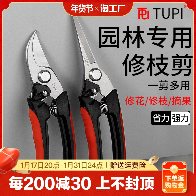 Gardening scissors prunes prunes prunes Home branch flowers Special shears stainless steel floral gardens pick fruit and cut branches-Taobao