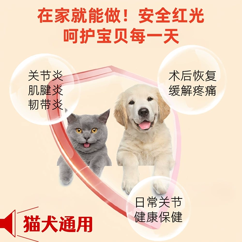 Физиотерапевтическая подушка с красным светом для домашних животных для кошек и собак, универсальный сустав, коленная чашечка, послеоперационная реабилитация, облегчение здоровья, терапия инфракрасным светом, задние конечности