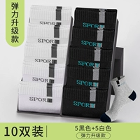 [Elastic Upgrade] 10 пары-5 черных+5 белых