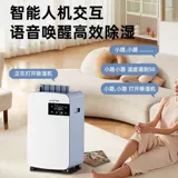 Влажный осушитель Домохозяйство влажного влажного влажного мокрового мастера.