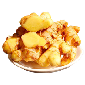 精选云南正宗小黄姜现发新鲜带泥老姜月子姜优质生姜整箱批发现挖