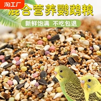 Попугающие птицы пища кормить тигр кожа Сюанфенг Птица птица птица птица птицы птицы Хуангузи Лето Смешанное лето Специальное зерно