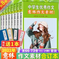 [Пакет 04] Композиционный материал Илинь в переплете на 21 год