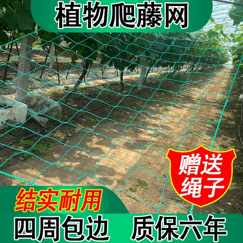 Сетка для восхождения на растения, рамка Luffa, горькая дыня, роза, виноградная лоза, сетка для восхождения, прочная садовая сетка для балкона