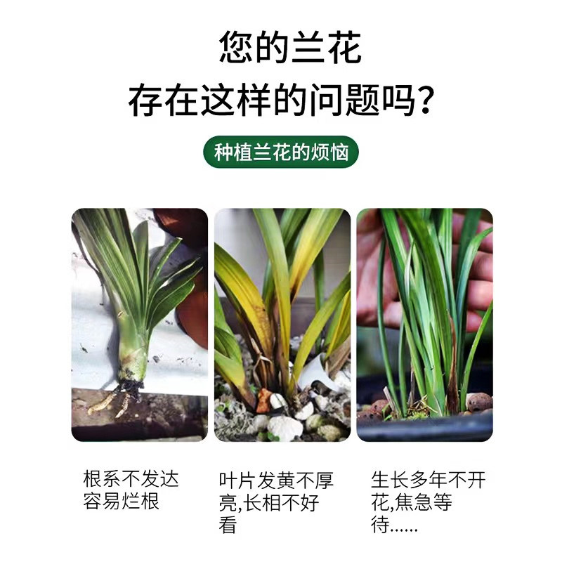 生命之树兰花花精三部曲:探索神秘植物能量的奇幻之旅-瑜伽香薰精油-淘宝百科网