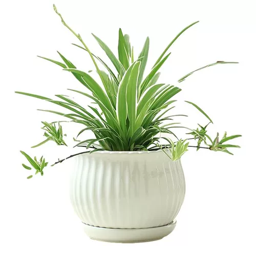 Керамический очень большой белый цветочный горшок для домашнего использования