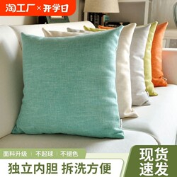 Living Room Sofa Pillow Cushion Accessible Luxury American Style 2024 New arrival Fancy Modern Office Queen Bed Chair