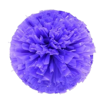 Flower Ball Cheerleaders Holding Flowers Cheerleading Flower Balls Cheerleaders Flower Balls Cheerleading Balls Cheerleaders Hold Flowers Dance Props