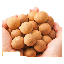 (Big Price Reduction) Longan Dried Longan New Arrival Special Grade Fujian Nourishing Dried Goods Longan Meat Traditional Chinese Medicine Longan Soup