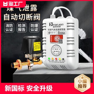 Gas natural gas liquefied gas gas leakage automatic shut-off valve commercial household propane alarm leakage safety