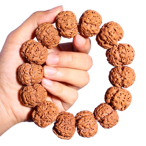 尼泊尔五瓣金刚菩提手串原籽爆肉双龙纹五星蜂窝大金刚菩提手持男