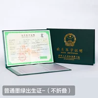 Обычное разрешение на рождение темно-зеленого цвета (не сложено)