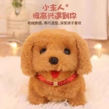 Игрушечная собака гуляет, лает, виляет хвостом, подарок, маленькая собачка шумит, разговаривает, кукла-щенок, зарядка Тедди