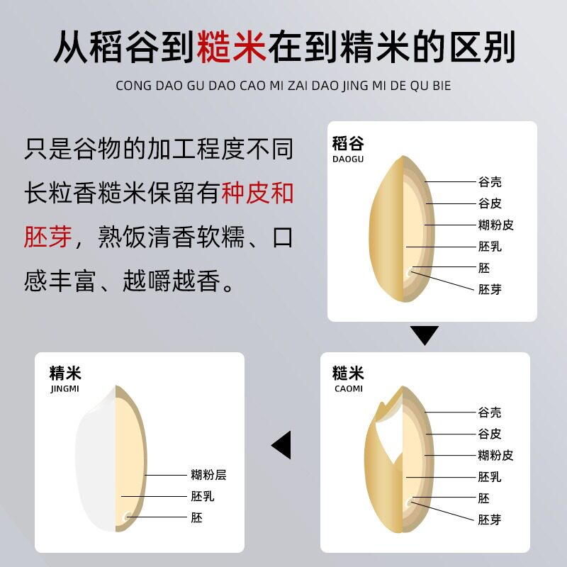 塞翁福糙米:一粒蕴含健康的古老智慧-糙米-淘宝百科网