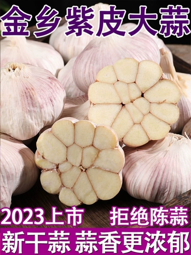 Jinxiang чесночный свежий сушеный чеснок 5 коттон из чеснока, чесночные семена 2024 Овощные оптовые пурпурные питте 10 фунтов