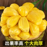 Hainan Jackfruit Fresh Fruit Frunt Dropipping, целая коробка с красным и желтым мясом, весь сезон теперь выбирает волны Джека